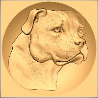 Staffordshire Bull Terrier