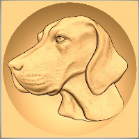 Vizsla