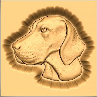 Vizsla