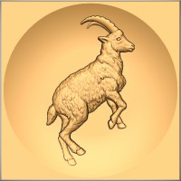 Ibex 1