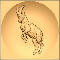 Ibex 2