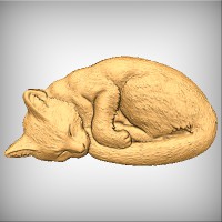 Sleeping Cat