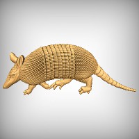 Armadillo