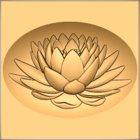 Lotus Flower