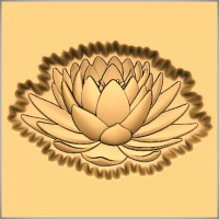 Lotus Flower