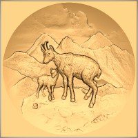 Ibex Scene