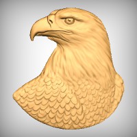 Eagle Bust