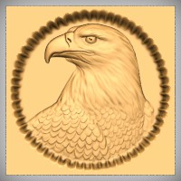 Eagle Bust