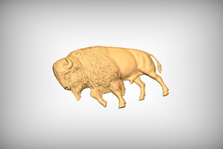 Bison