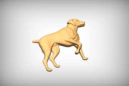 Hunting Dog