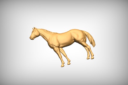 Quarter Horse