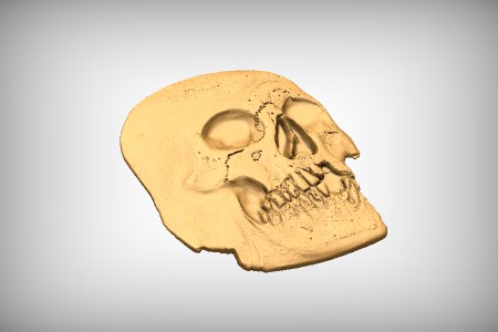 Skull 3