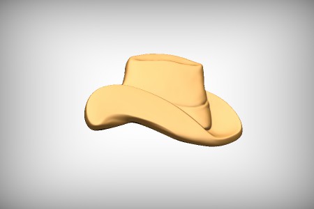 Cowboy Hat 2