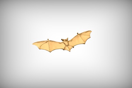 Bat