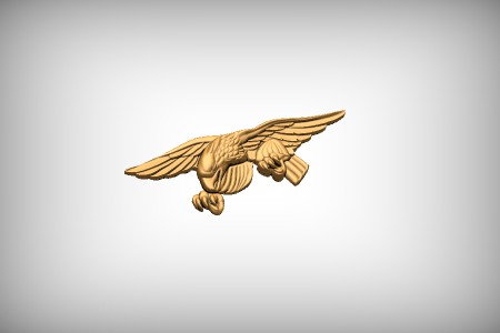 Military Eagle 2