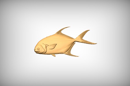 Permit Fish