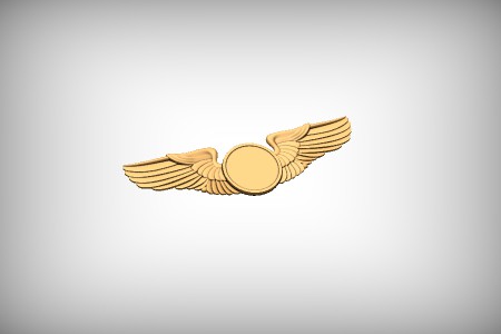 Military Wings