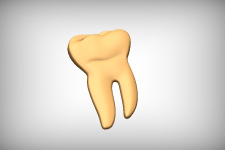 Molar - Tooth