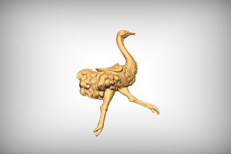 Carousel Ostrich