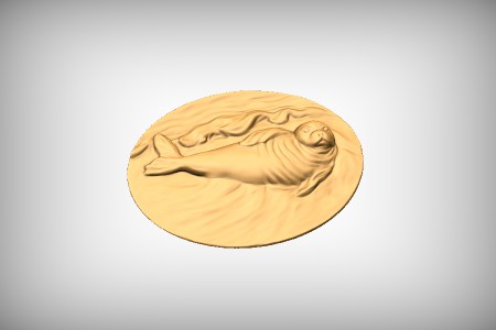 Sealion Oval