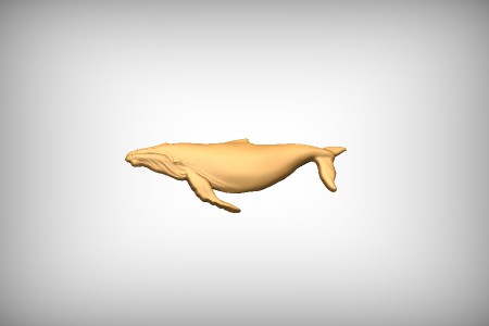 Whale 1