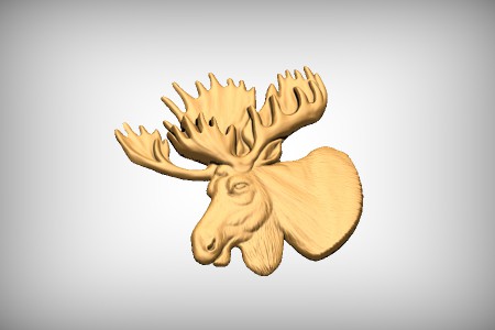 Moose Head