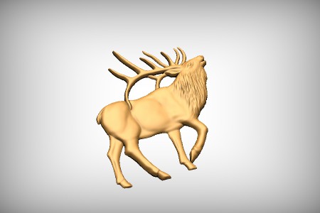 Elk 4