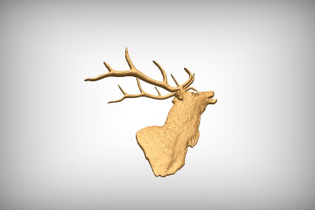 Elk Head 2