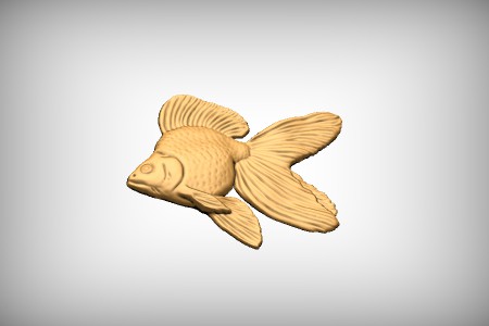 Ryukin Goldfish