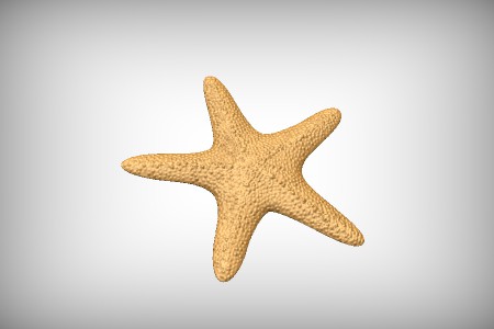 Starfish