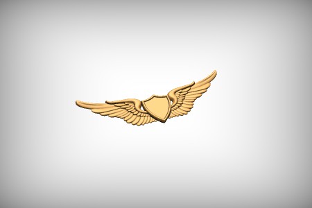Military Wings 2
