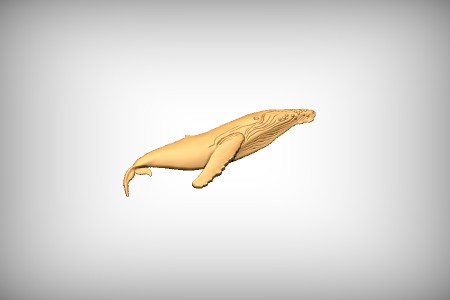 Whale 2