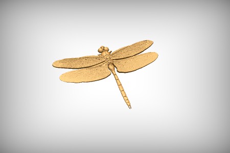 Dragonfly