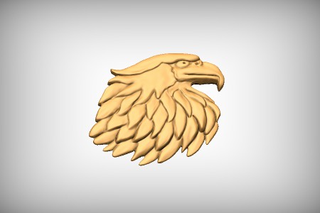 Eagle Head 6