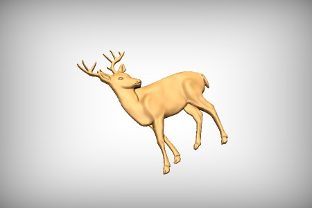 Deer 6