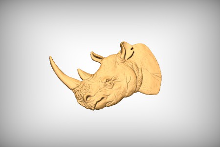 Rhino Head