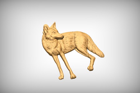 Coyote