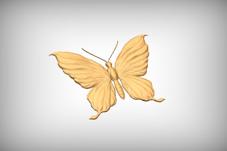 Butterfly 2