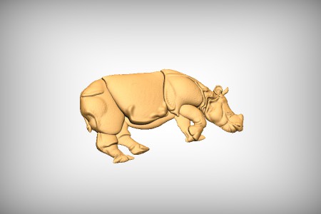 Rhinoceros