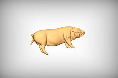 Pig 1