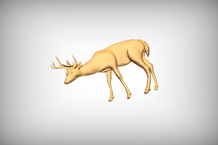 Deer 8