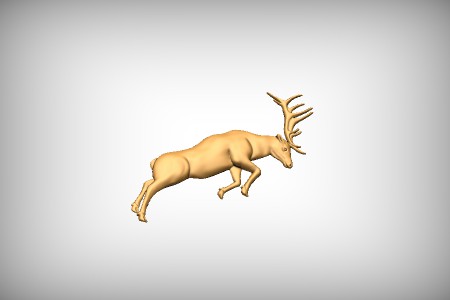 Elk 7