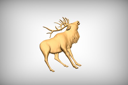 Elk 9