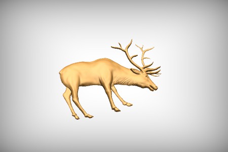 Elk 10