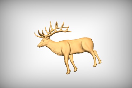 Elk 11