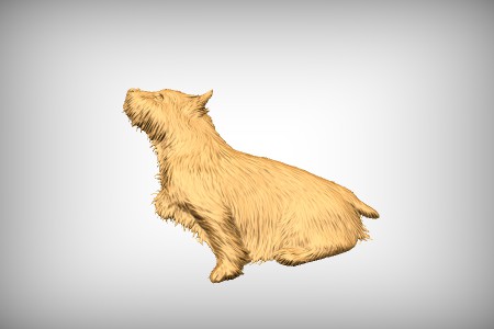 Terrier