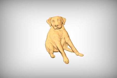 Labrador Retriever 2