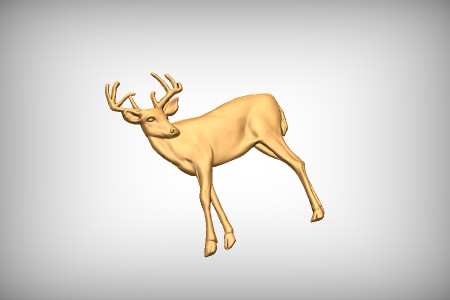 Deer 9