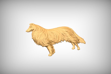 Collie