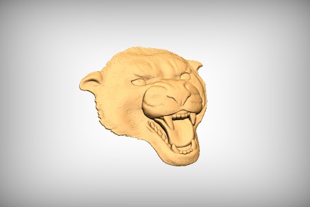 Panther Head 1